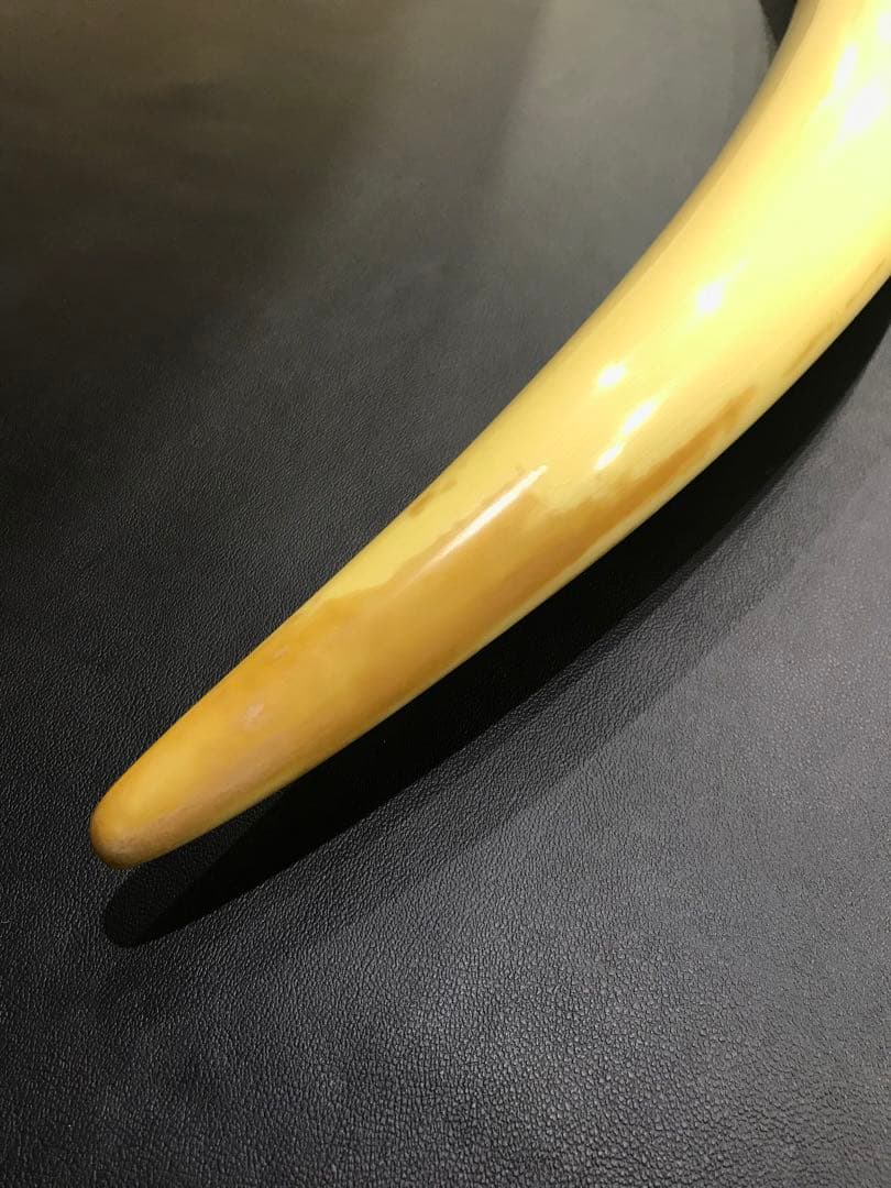象牙風置物 レプリカ 練り物　オブジェ 一本牙 全長100cm