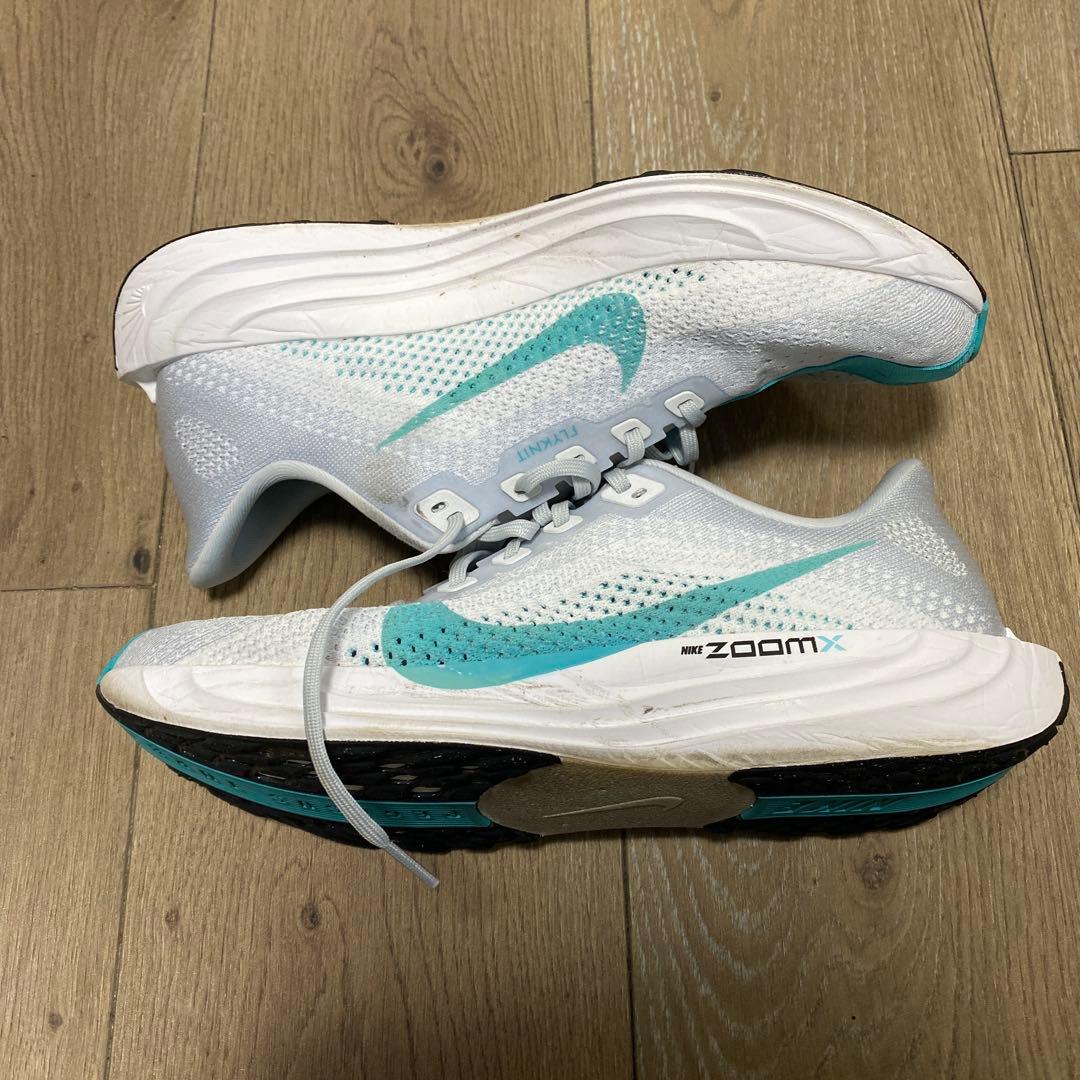Nike ペガサスプラス 28.5㎝