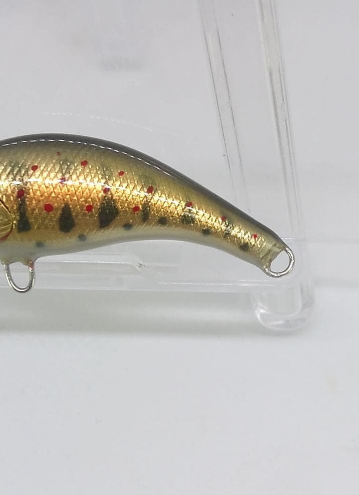 麗’s GOLD 　麗’sミノー　ステイゴールド　50HS　グリーンアマゴ