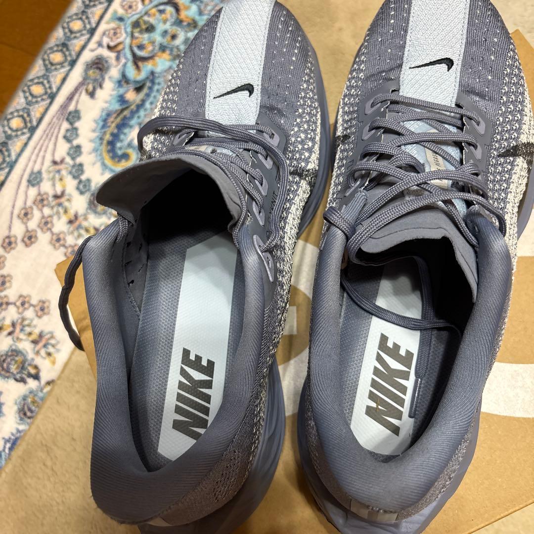 Nike Pegasus Plus ランニングシューズ　28.5cm
