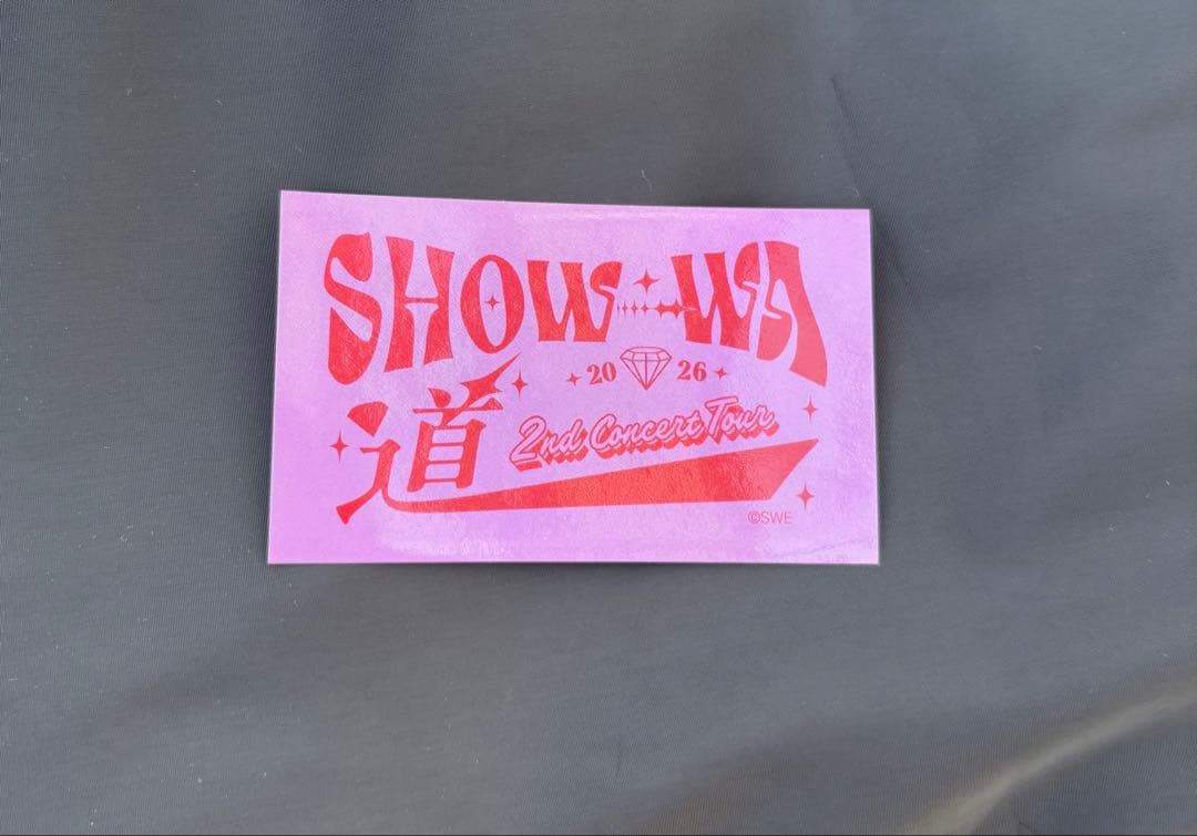 SHOW-WA 道 ペンライト オマケ付き