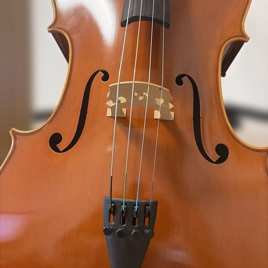 【美品】Pygmalius Derius Giapponese 4/4 チェロ