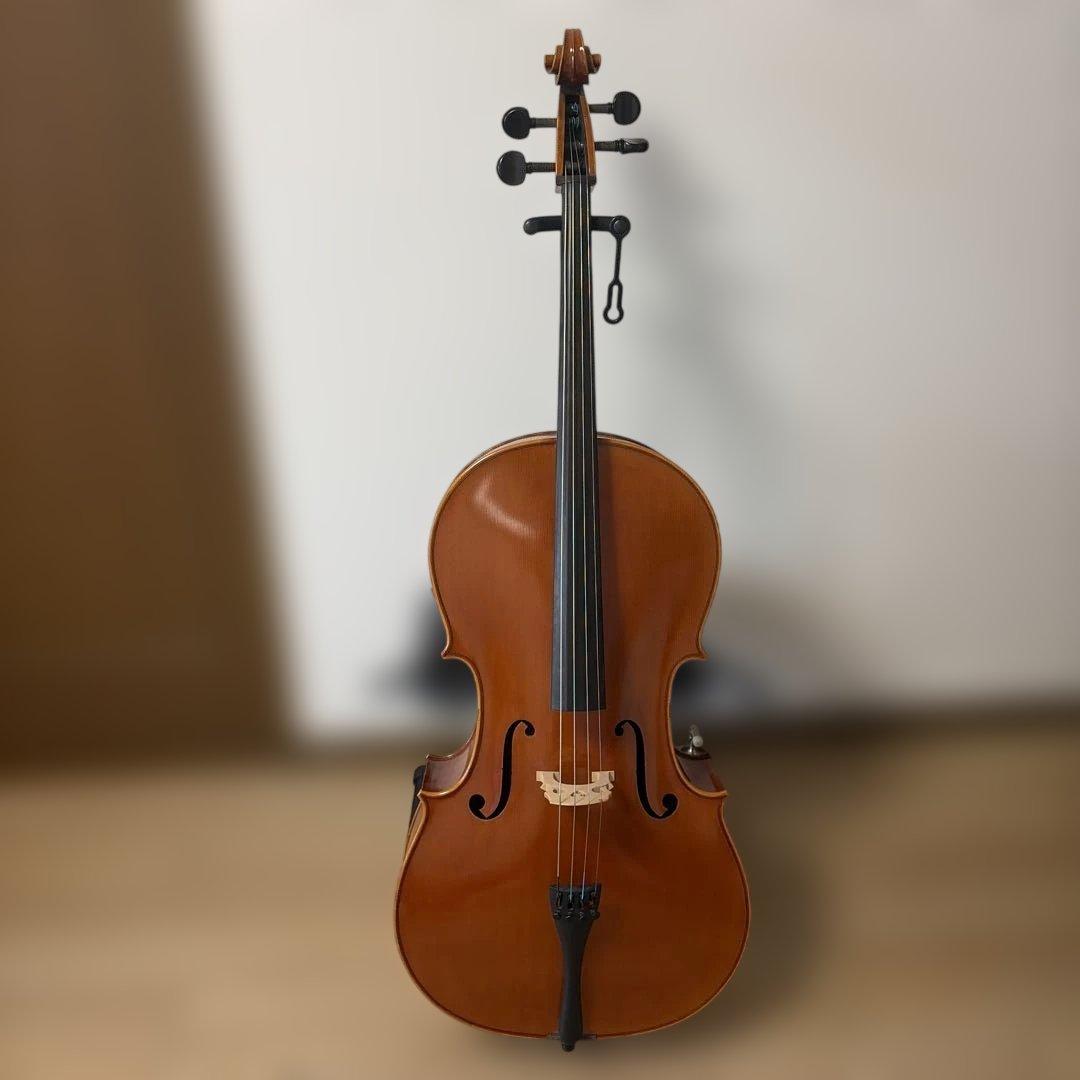 【美品】Pygmalius Derius Giapponese 4/4 チェロ