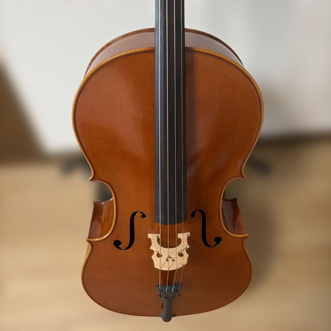 【美品】Pygmalius Derius Giapponese 4/4 チェロ