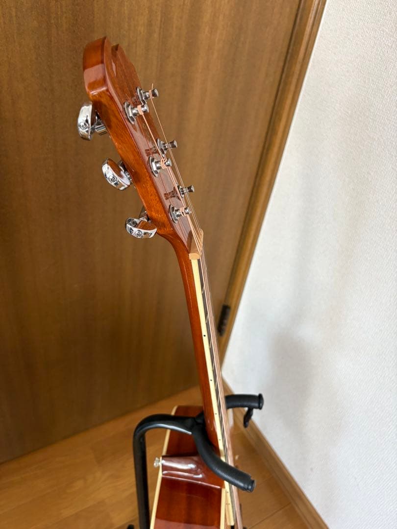 James JF400/NATアコースティックギターセミハードケース