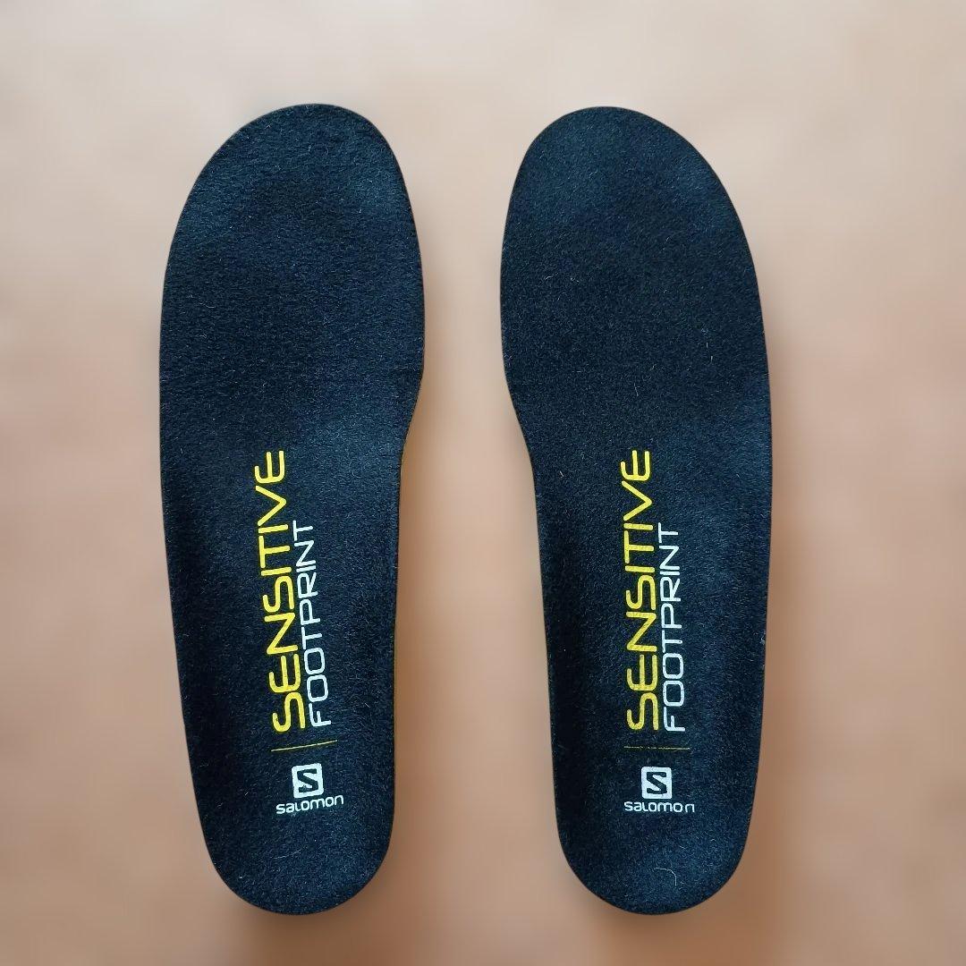 Salomon X Max 120 スキーブーツ　サロモン