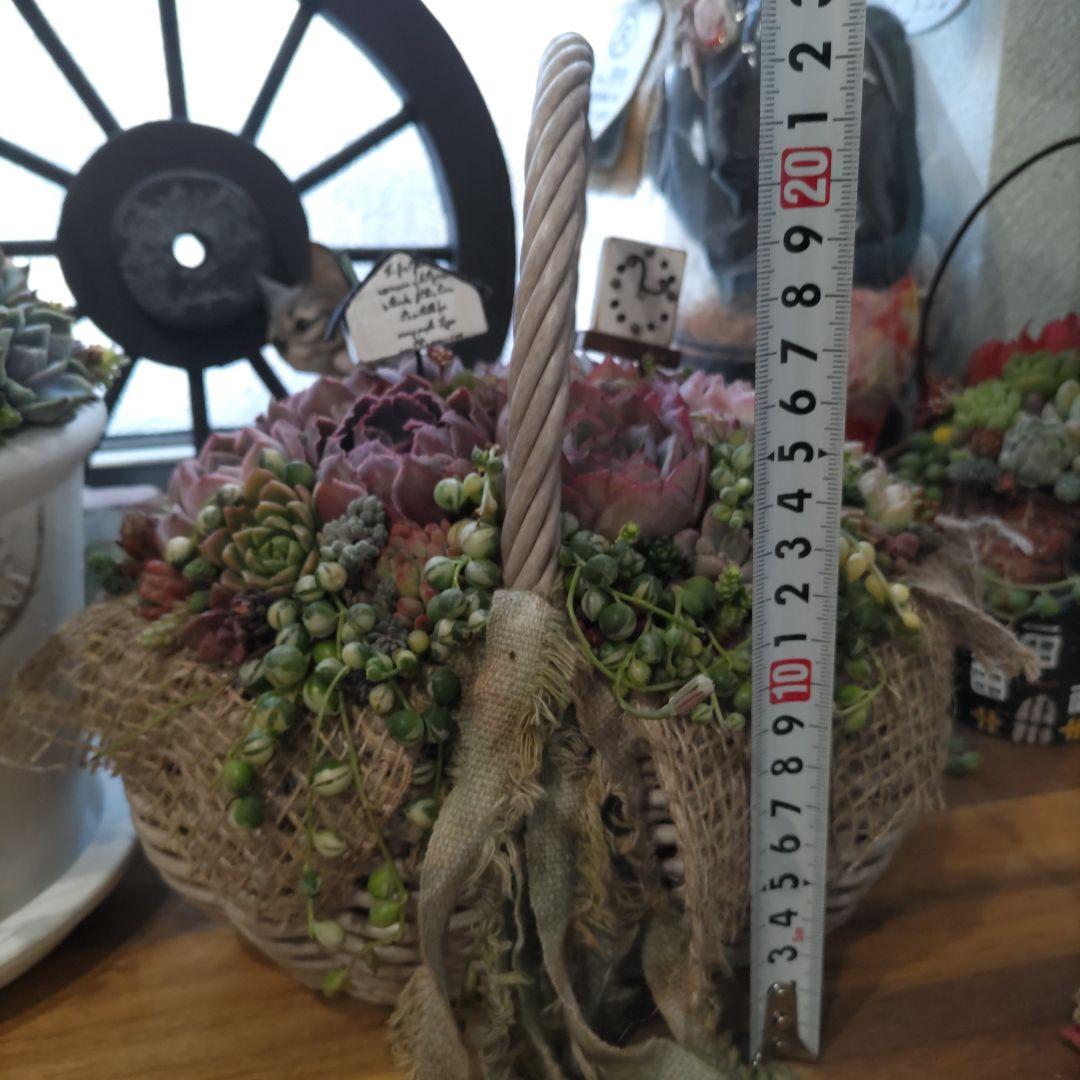 多肉植物 ♡そのまま飾れる寄せ植え♡バスケット✩.*˚