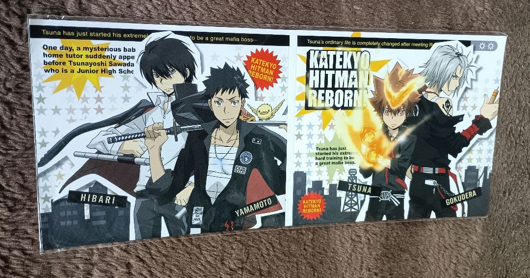 【値下げ中】【匿名配送】家庭教師ヒットマンREBORN！ 紙製CDケースA レア