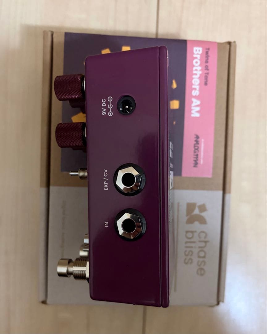 ギター Chase Bliss BROTHERS AM
