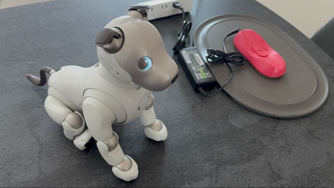 SONY aibo ERS-1000 動作確認済 ACアダプター アイボ