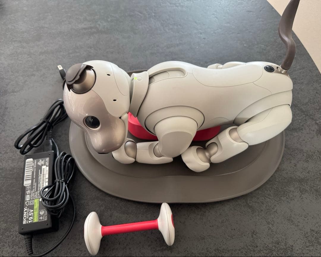 SONY aibo ERS-1000 動作確認済 ACアダプター アイボ
