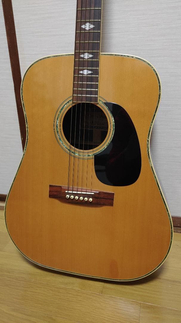 ギター Kiso Suzuki Violin W-250