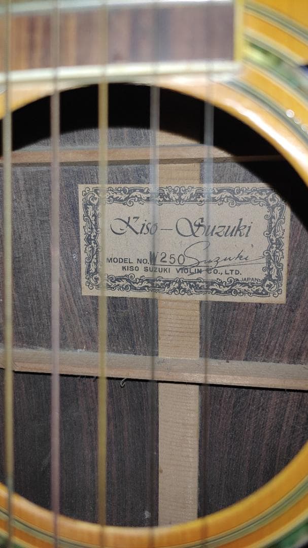 ギター Kiso Suzuki Violin W-250