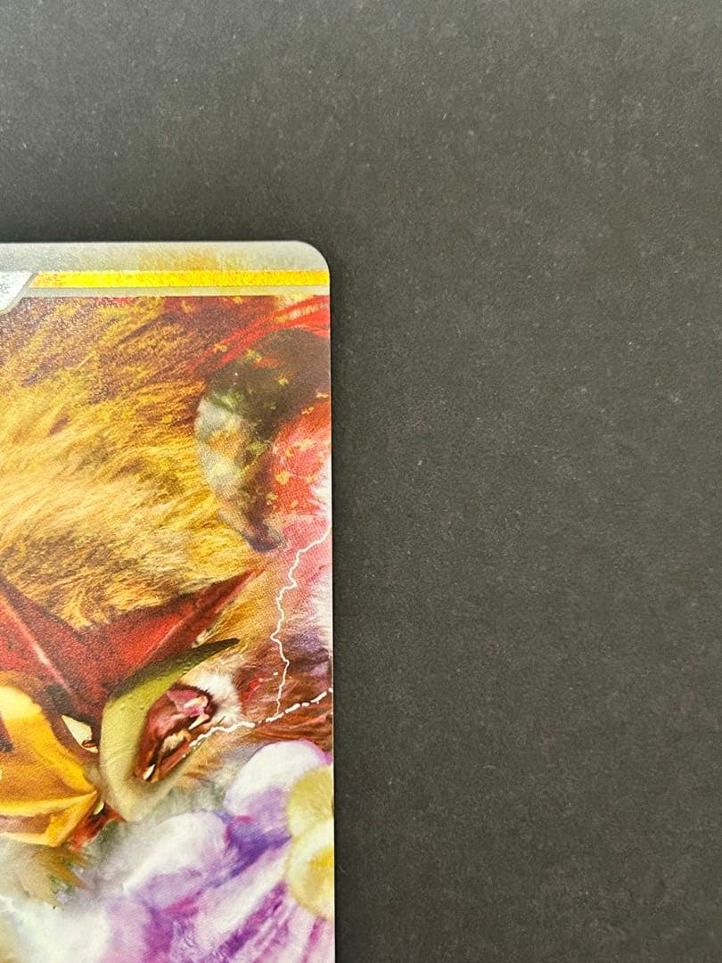 エンテイ＆ライコウLEGEND ☆ L2 063/080 上下セット 美品