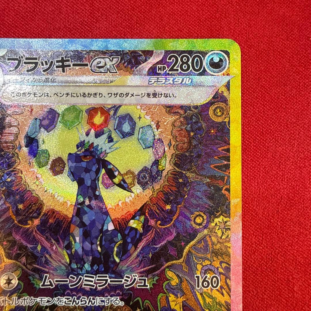 【美品・センタリング良】ブラッキーex SAR：テラスタルフェス 217/187
