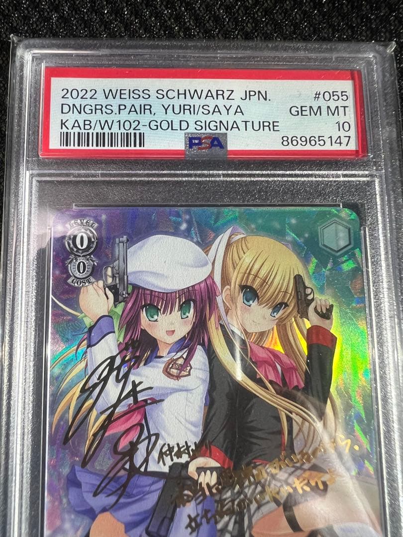 ヴァイスシュヴァルツPSA10危険な二人