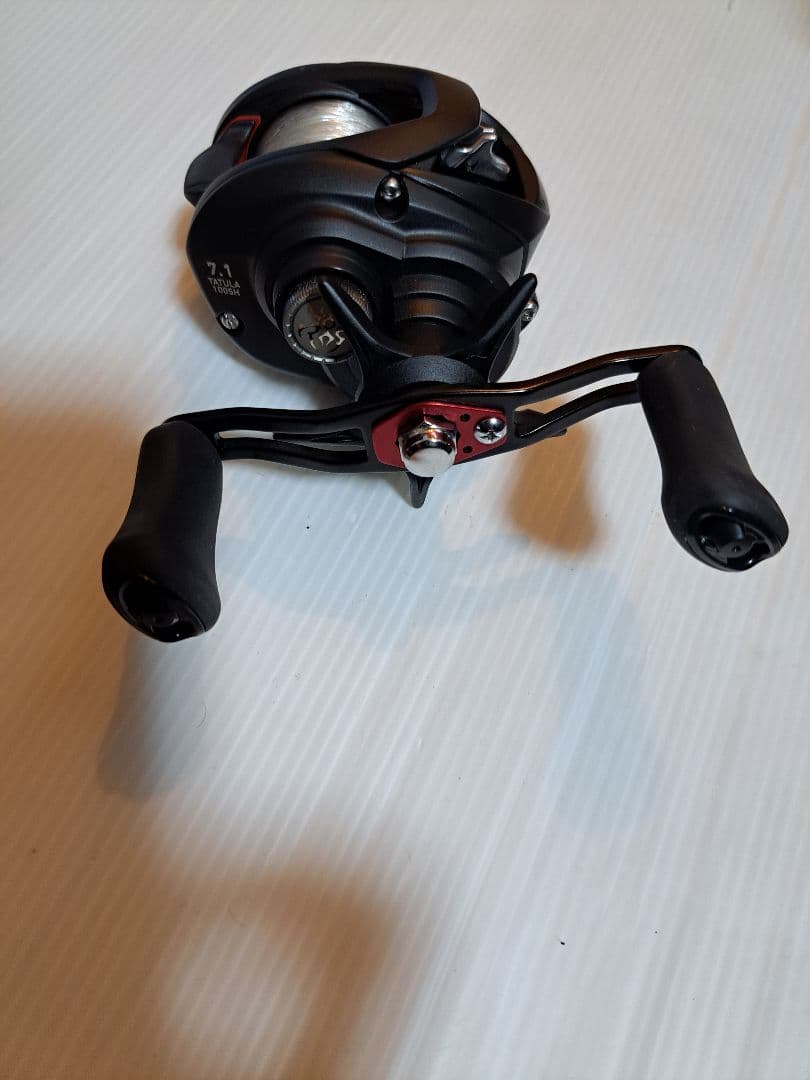 DAIWA 19TATULA TW 100SH ベイトリール