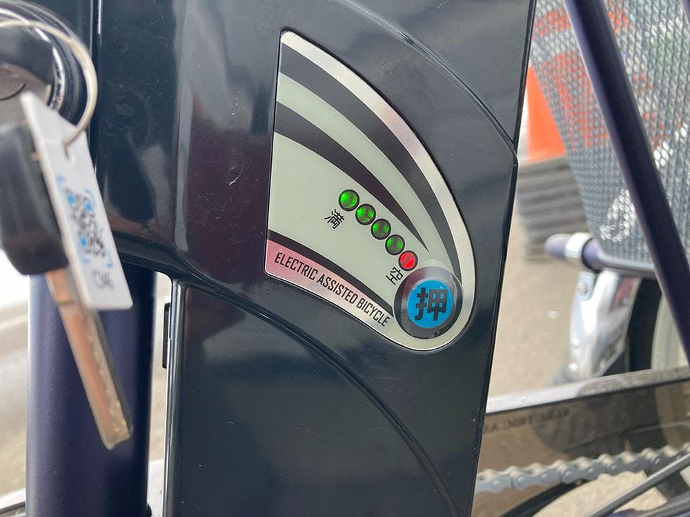 PELTECH 電動アシスト 低床三輪自転車 20/16インチ◆TDR-163L