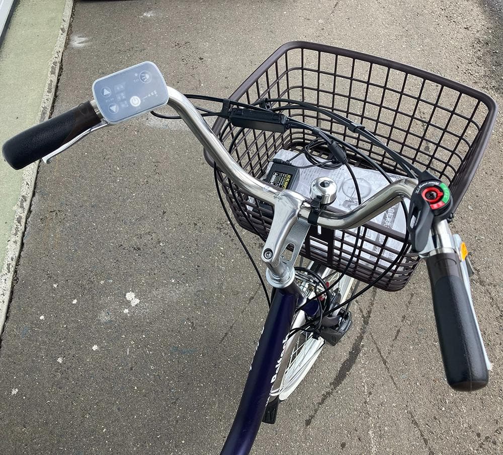 PELTECH 電動アシスト 低床三輪自転車 20/16インチ◆TDR-163L