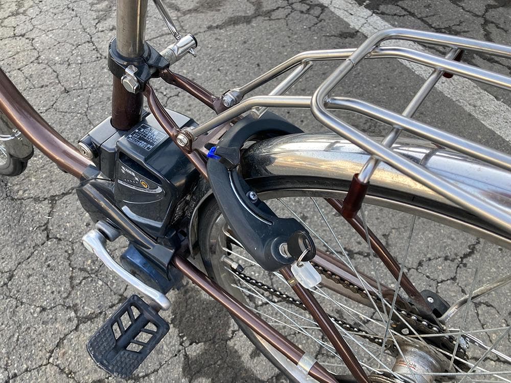 PELTECH 電動アシスト 低床三輪自転車 20/16インチ◆TDR-163L