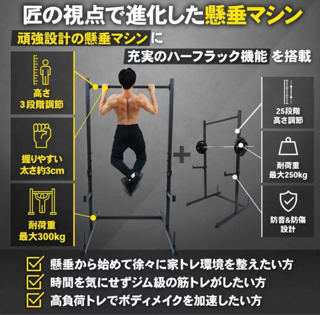 懸垂マシン ラック型 耐荷重300kg 25段階