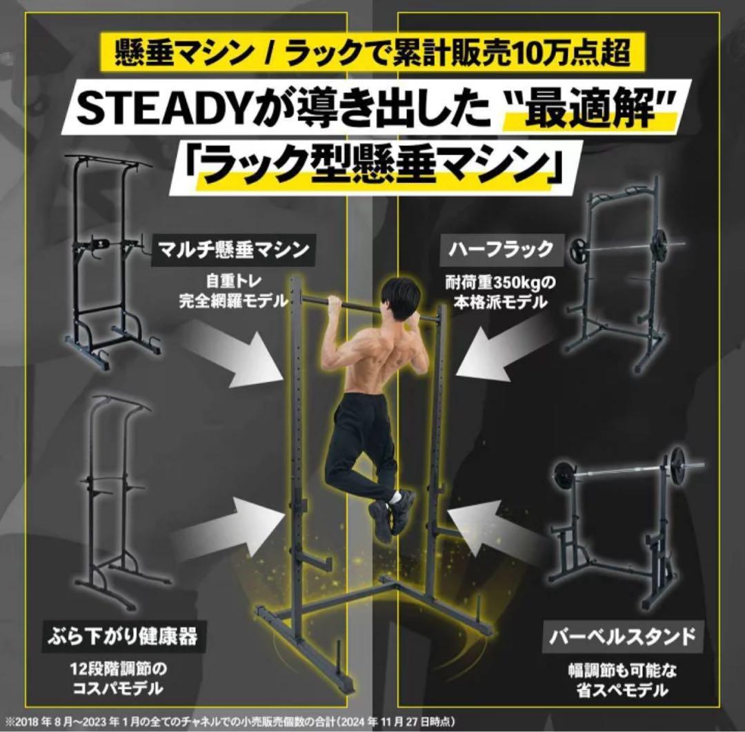 懸垂マシン ラック型 耐荷重300kg 25段階