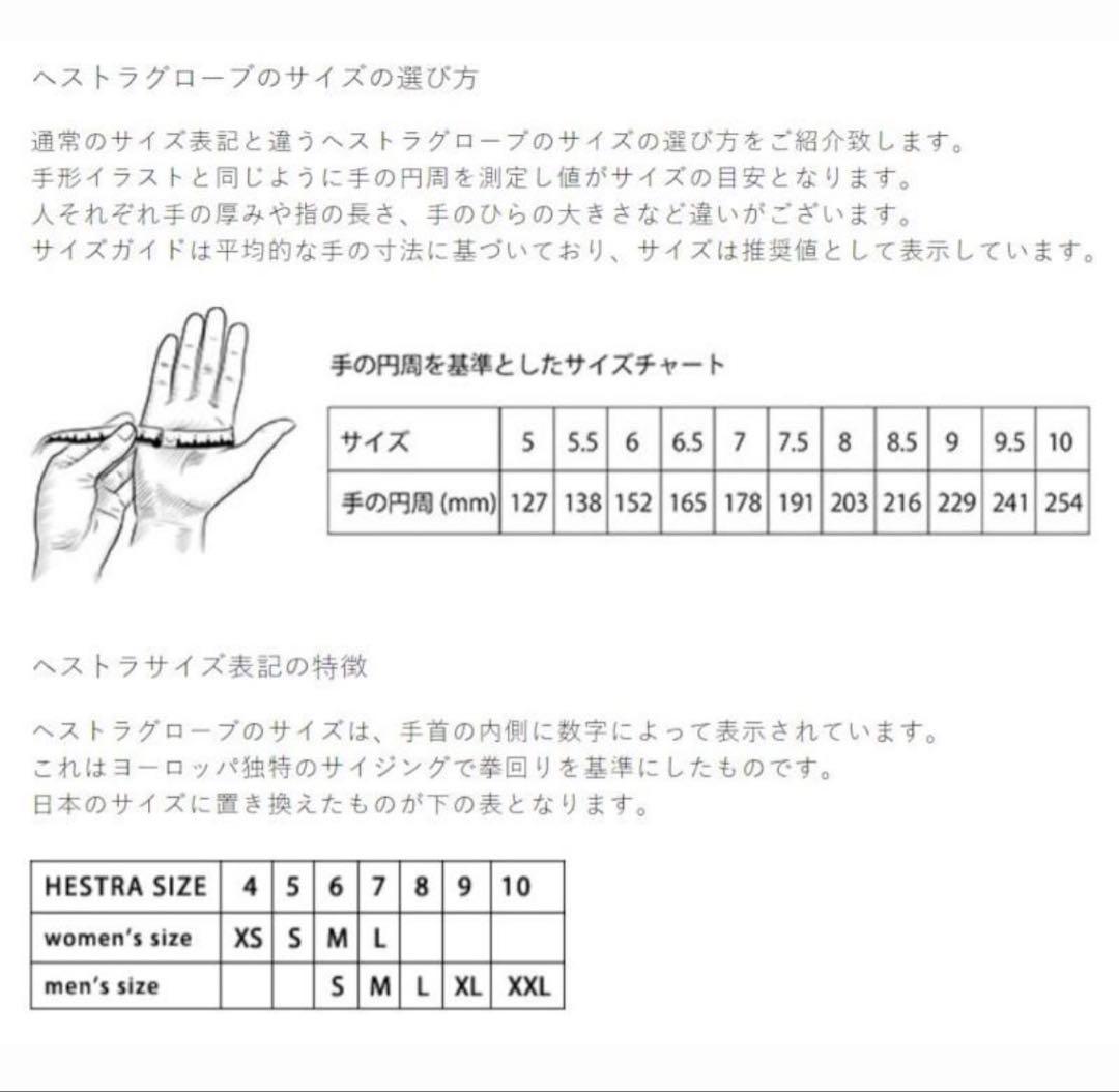 HESTRA Alpine Pro ゴアテックス レザーグローブ