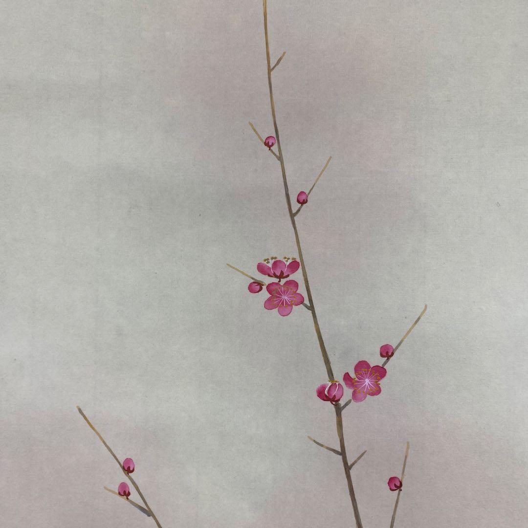 美品 掛け軸 稲葉桑文作 紅梅に小禽図 共箱 太巻き付 縁起物 花鳥