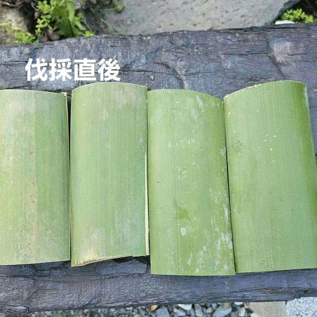 【届いてすぐ使える！】天然竹の流しそうめんセット3m＋三脚＋シュロ縄付き