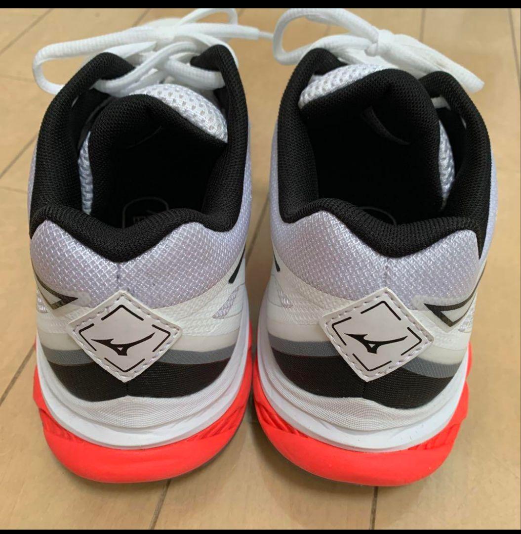 Mizuno バドミントンシューズ ウェーブファング2　【24cm】