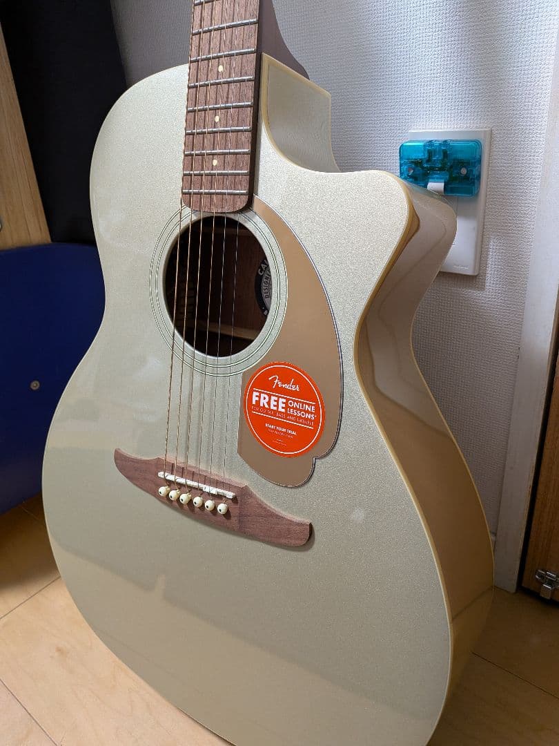 【ほぼ未使用】Fender Newporter Player ＆メンテ用品付き