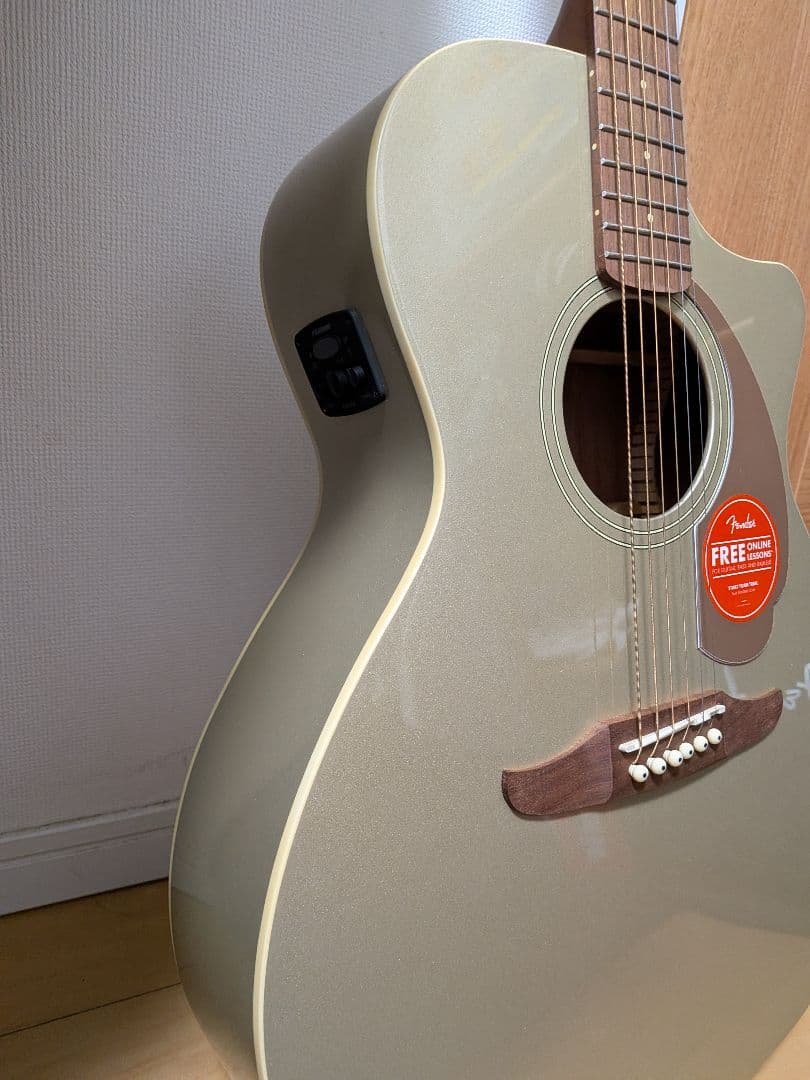 【ほぼ未使用】Fender Newporter Player ＆メンテ用品付き