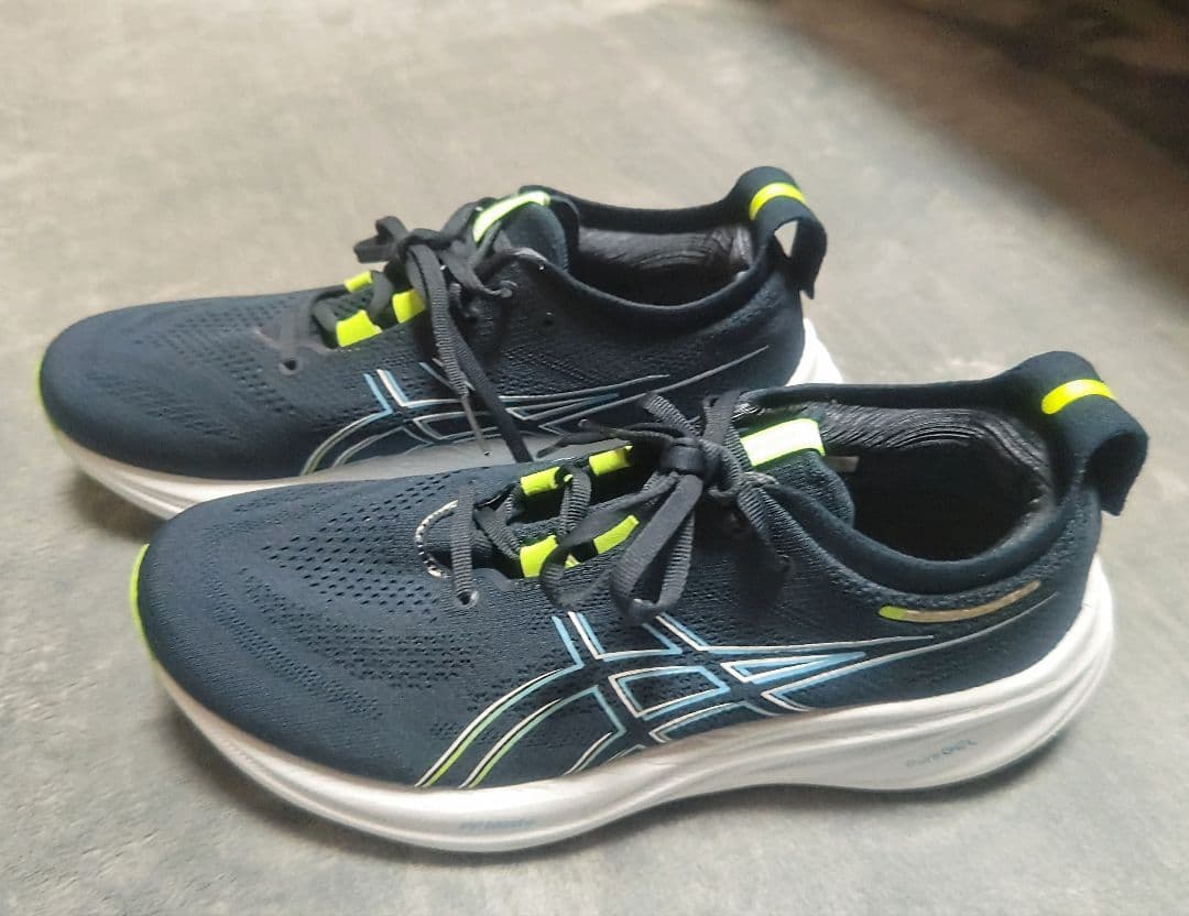 ASICS ゲルニンバス26 27.5cm