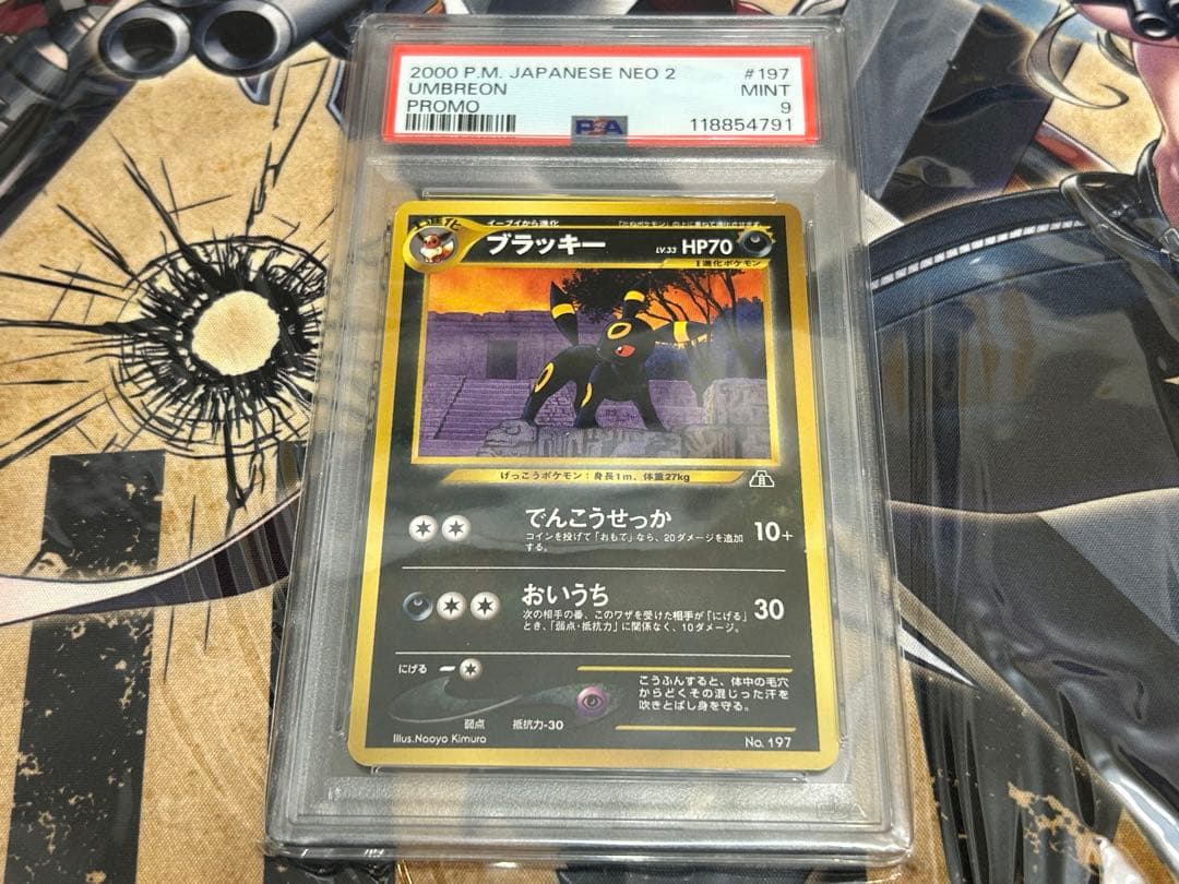 ブラッキー 旧裏 psa9 ネオファイル2