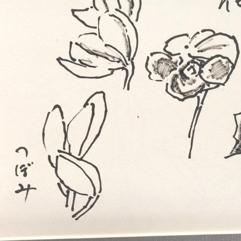 ☆坂本直行☆「 シンビジウム ケニー・ワインカラー） 」ペン画　太子　未使用!