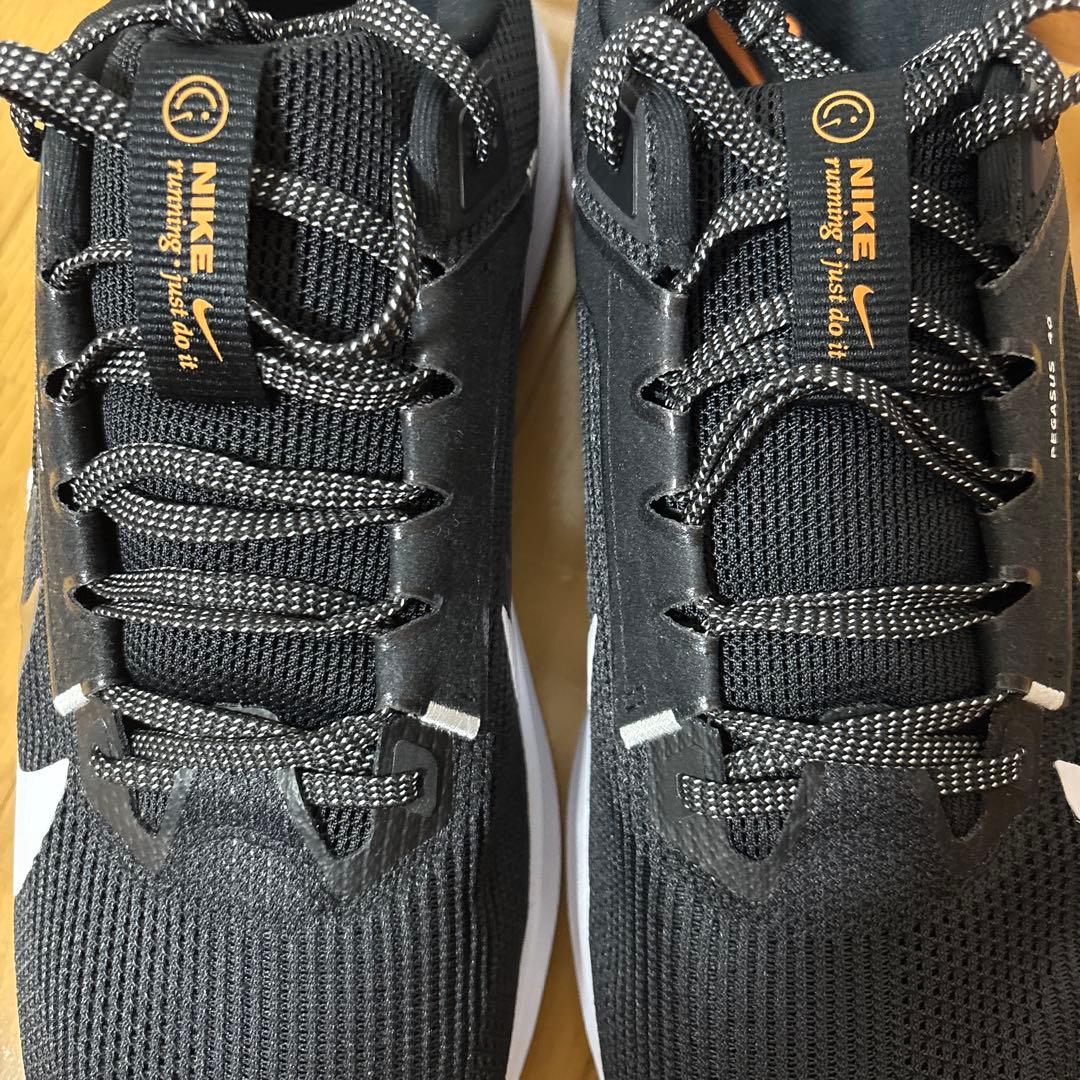 大きいサイズ　試着のみ　Nike Pegasus 40ブラックus13 31cm