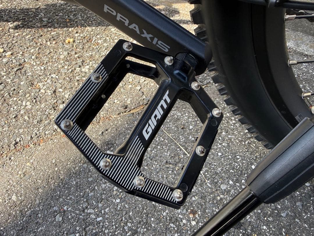 【定価55万円美品】 GIANT TRANCE E+ pro 電動アシストMTB