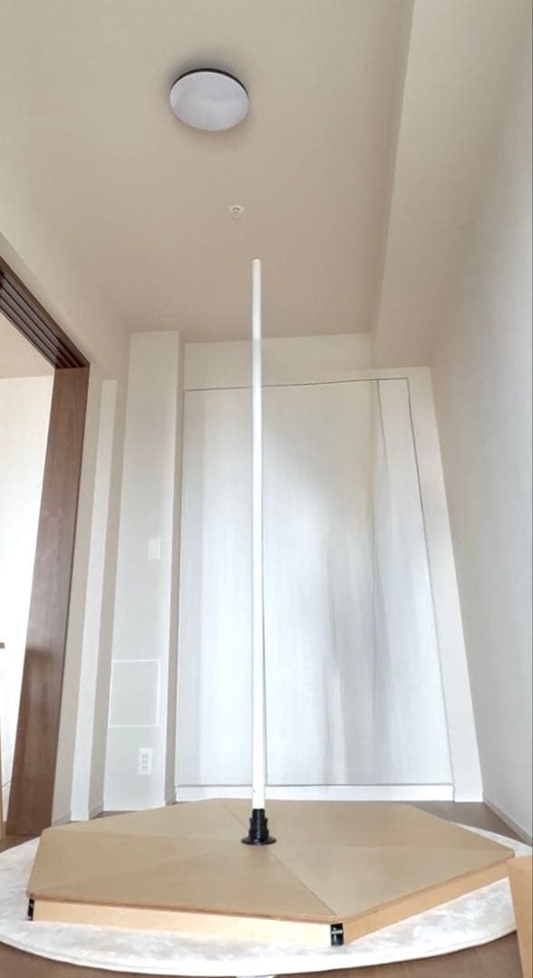 ポールダンス用ポール The Pole Italy stage pole