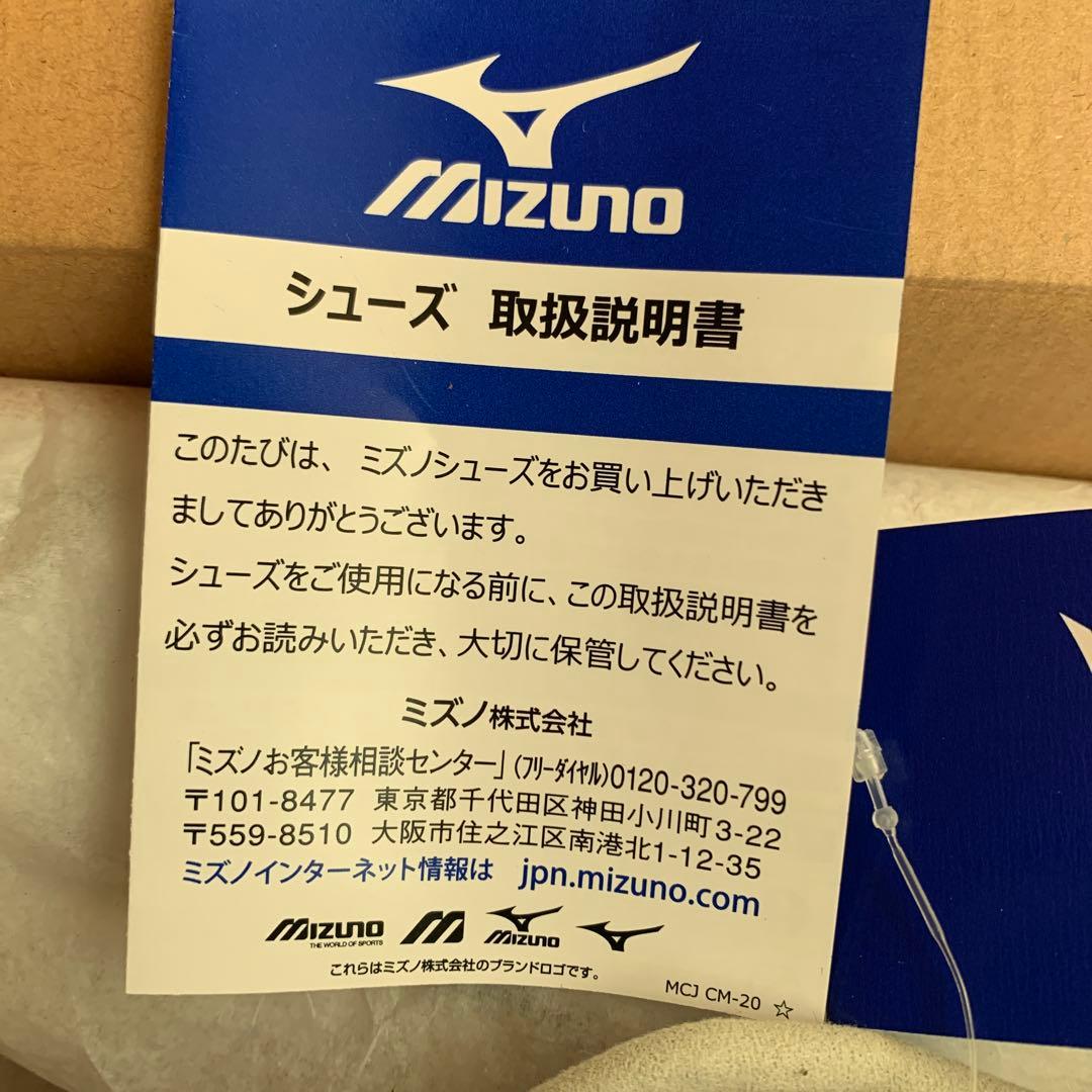 【新品】ミズノ　モレリア サラ　IN フットサル　室内シューズ