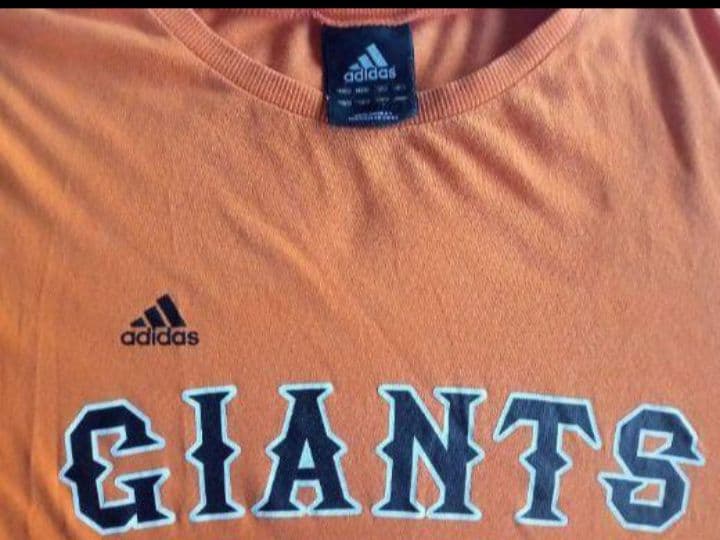 【プロ野球 読売巨人軍 GIANTS グラウンドジャケット・Tシャツ】2点セット