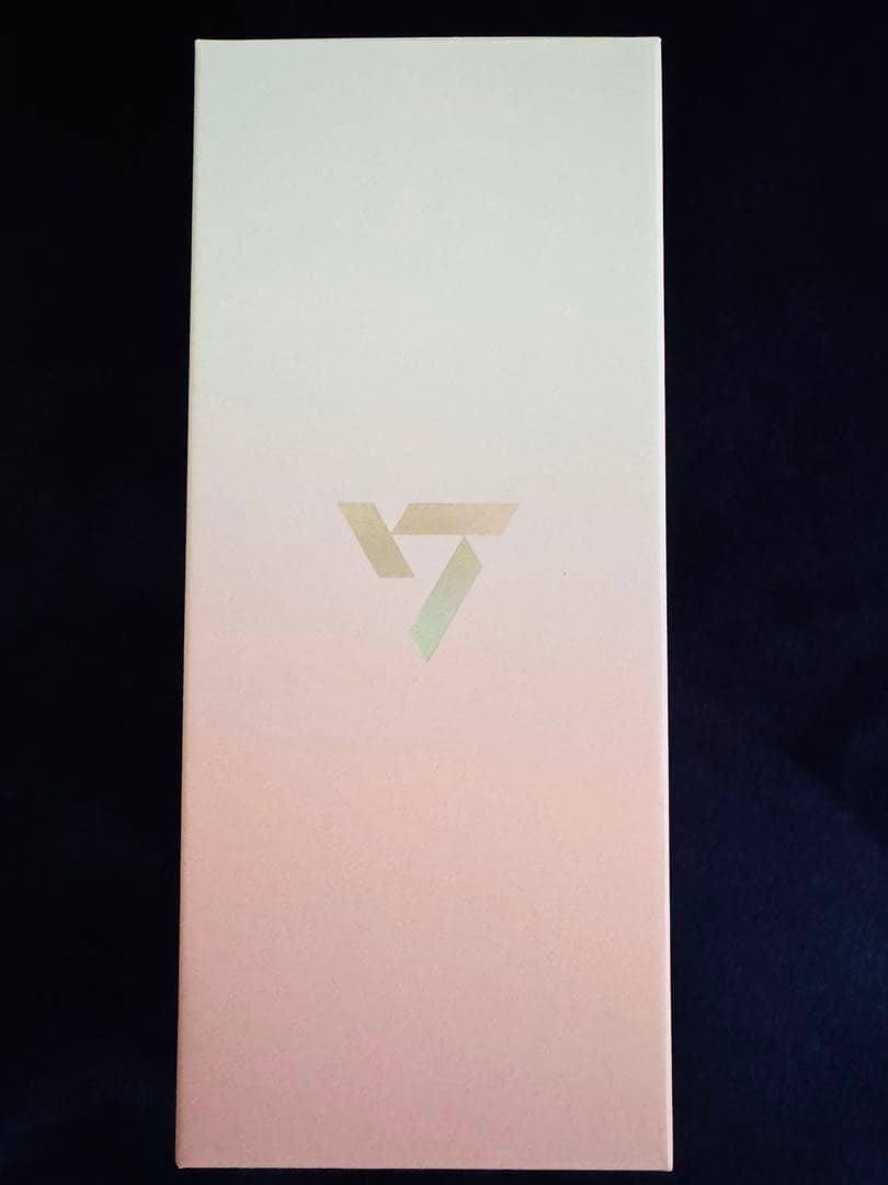 SEVENTEEN セブチ ペンライト VER.3 10周年記念　おまけ付