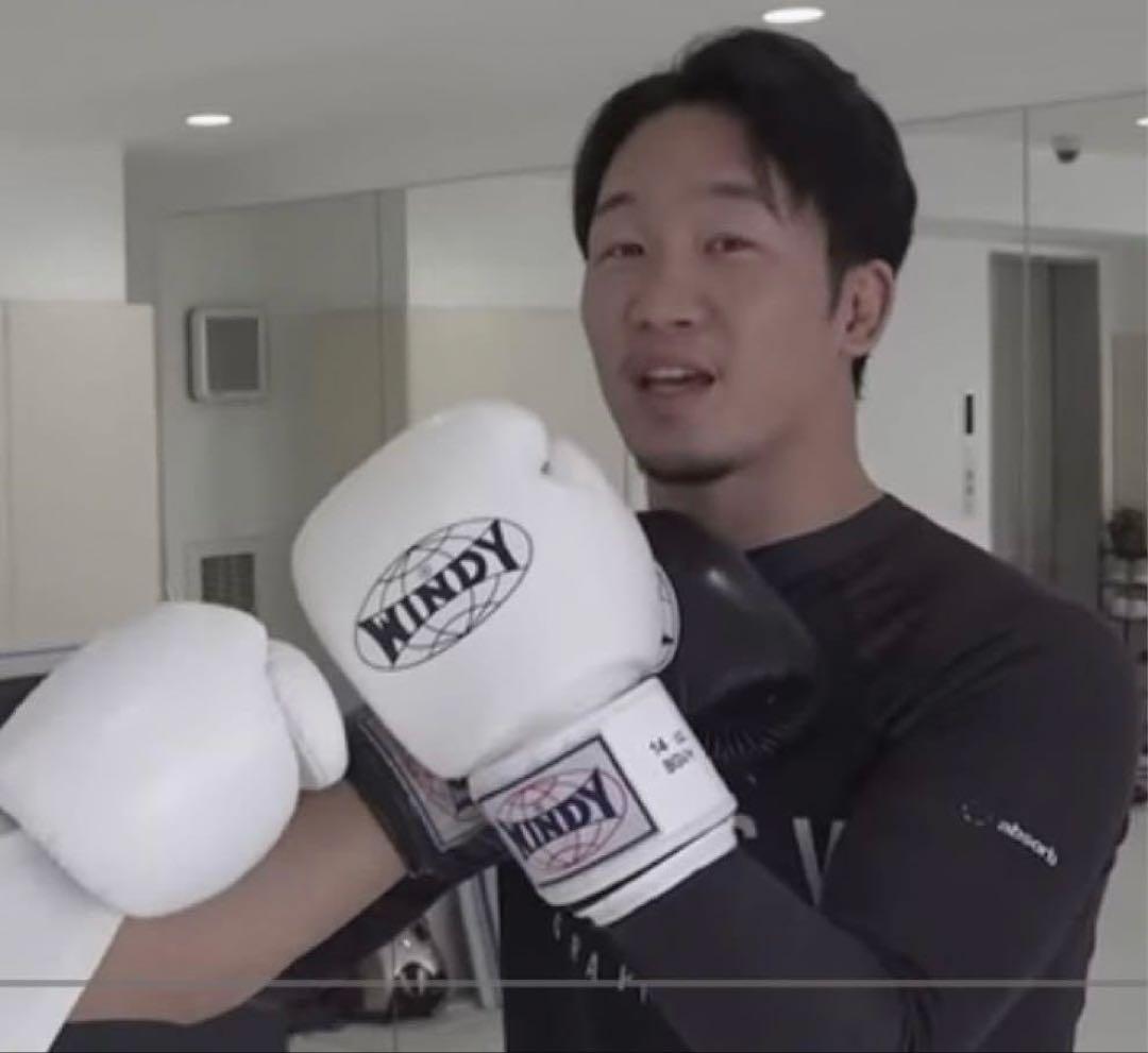 【希少カラー✨】Windy ボクシンググローブ本革製ピンク14ozウィンディ