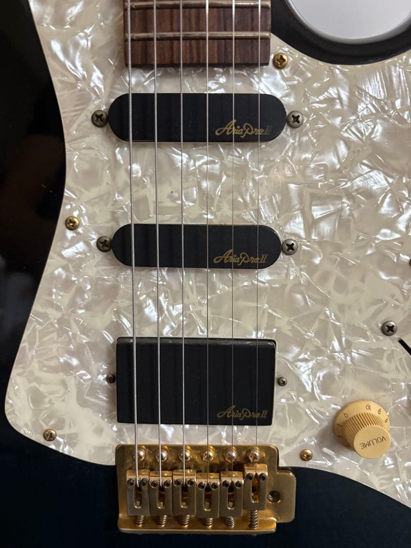 Aria pro2 viper vp-400 ケース　ストラップ　教科書付き