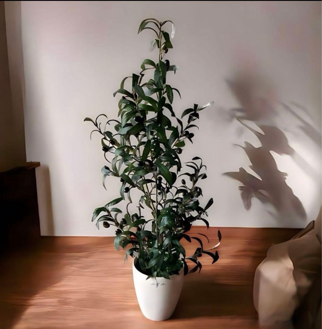 光触媒　人工観葉植物　ウォールグリーン　フェイクグリーン　オリーブ9696