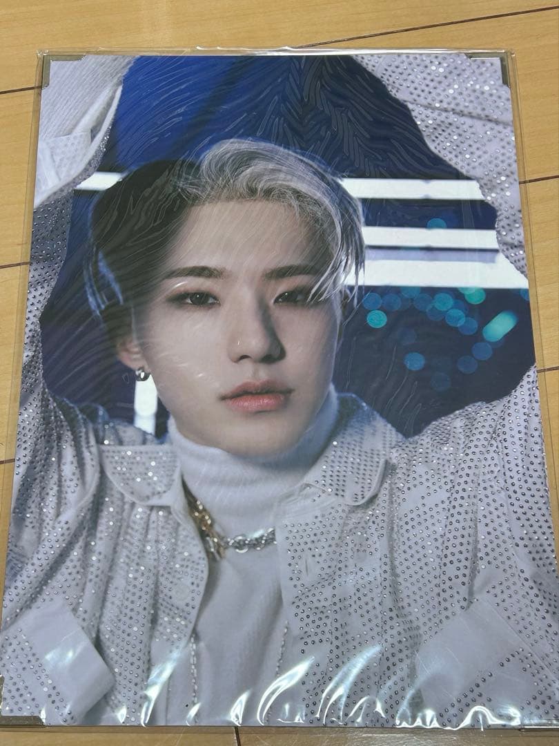 seventeen hoshi spider グッズ　premium photo