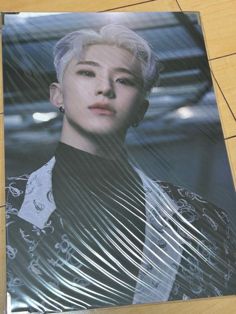 seventeen hoshi spider グッズ　premium photo