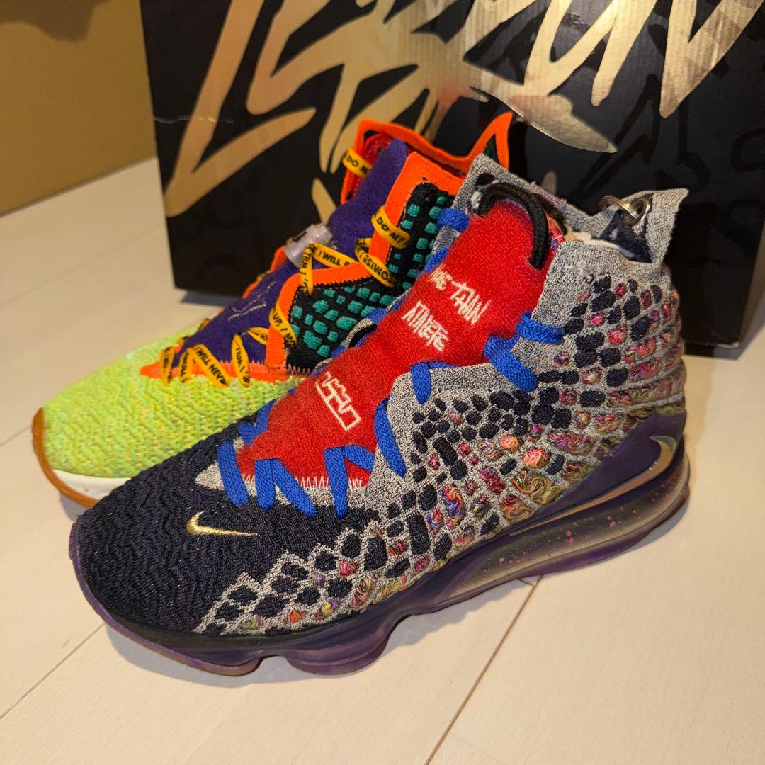【希少品】NIKE Lebron 17 WTW WHAT THE JORDAN