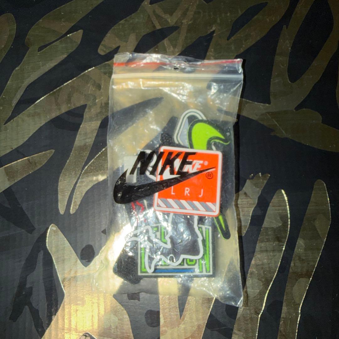 【希少品】NIKE Lebron 17 WTW WHAT THE JORDAN