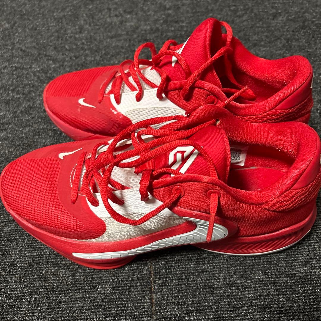 Nike Zoom Freak 4 Team ヤニスアデトクンボ