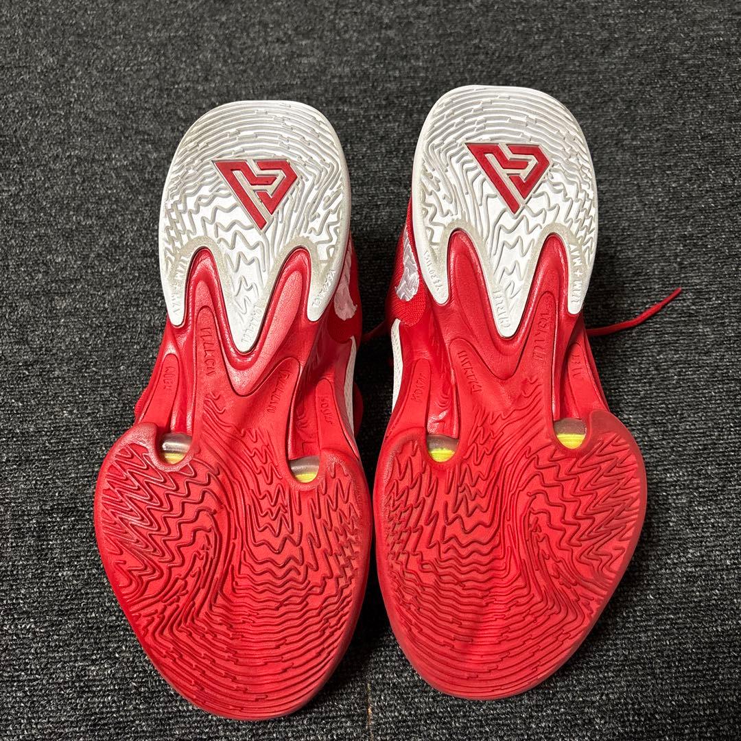 Nike Zoom Freak 4 Team ヤニスアデトクンボ